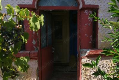 Teren intravilan de vanzare pe care se afla o casa batraneasca - 4