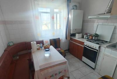 Apartament cu 3 camere decomandat în Broșteni - 8