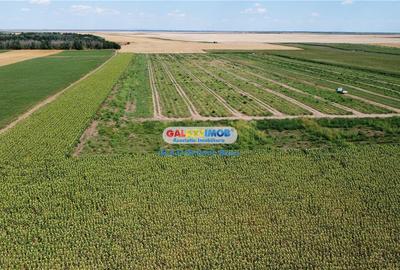 Teren extravilan de 26000 mp, în Vâlcelele - 15