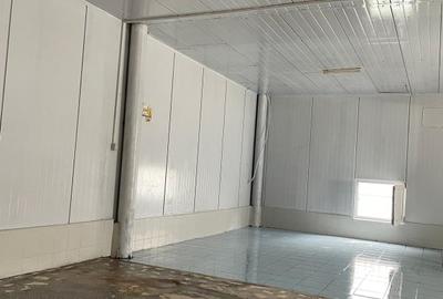 Spațiu industrial, de 500 mp, în Central - 3