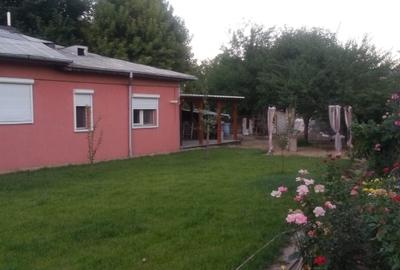 Teren Construcții intravilan de 1000 mp, în Calea Severinului - 1