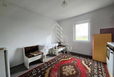 Casa individuala P+M, Dudestii Noi - 3