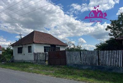 Casa in localitatea Carandeni - 4