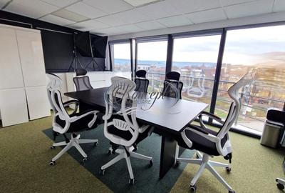 Spatiu de birouri in vila, cartierul Europa - 10