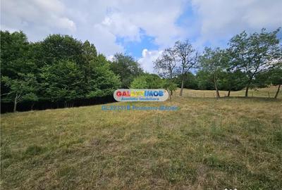 Teren de 2700 mp, în Curtea de Argeș - 8