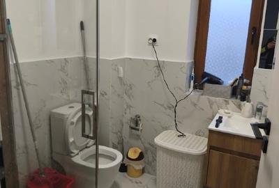 Inchiriere Camera la Curte Comuna 1 Decembrie Green City . - 2