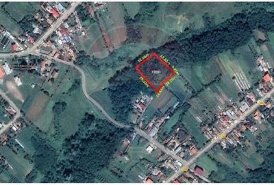 Teren/Padure  3,700mp / partial  intravillan  Tatomiresti - 2