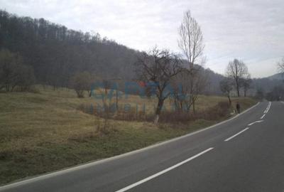 Teren intravilan jud. Mures - 5