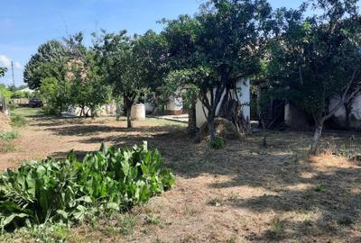 Spațiu comercial, în Amara - 2