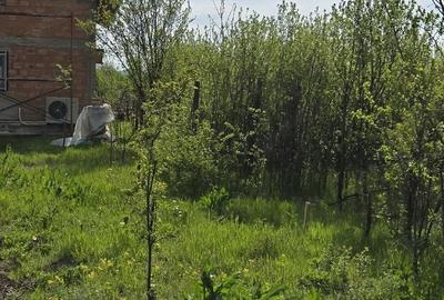 Teren de 5000 mp, în Vernești - 6