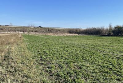 Teren Construcții intravilan de 4316 mp, în Giarmata-Vii - 4