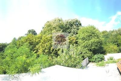 Refugiul la marginea pădurii in Orșova, pe malul Dunării - 17