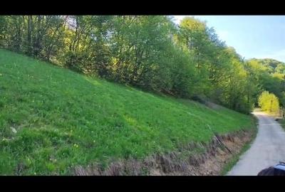 Spațiu comercial, în Valea Inzelului - 6