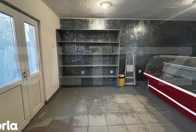 Casă cu 4 camere cu Teren 462 Mp în Craiovița Nouă - 11