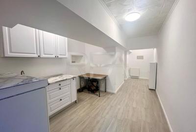 Apartament /spatiu comercial 2 camere demisol  Ferdinand - 7