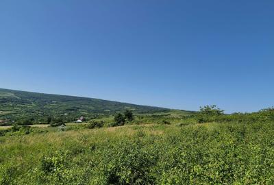 Teren de 3000 mp, în Tomești