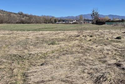 Teren de 2260 mp, în Dumbrăvița - 4