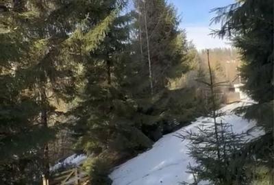 Spațiu comercial, în Central - 4