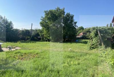 Teren intravilan de vanzare, 821 mp, Strada Borviz - 2