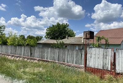 Casă cu Teren 1030 Mp în Ograda - 1