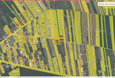 Teren Construcții intravilan de 1383 mp, în Bolintin-Deal - 3
