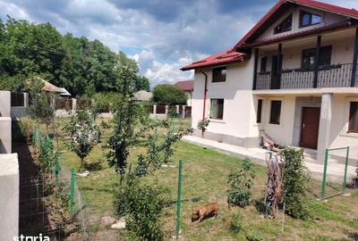 Casă cu 5 camere cu Teren 1500 Mp în Drajna - 15
