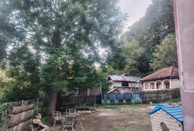 Casă cu 3 camere cu Teren 4000 Mp în Urseiu - 6