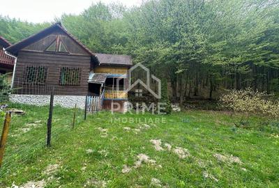 Casă cu 5 camere cu Teren 900 Mp în Ighiu