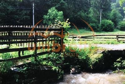 TEREN DE VANZARE IN VARSAG HARGHITA - 17