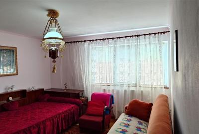 Gospodarie cu teren generos si constructii solide intr-o zona linistita - 8