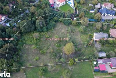 Casă cu 3 camere cu Teren 9000 Mp în Valea Borcutului