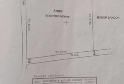Teren în Pădureni (Chinteni) - 2