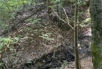 Spațiu comercial, în Vișagu - 1