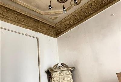 Vanzare vila Piata Universitatii - 10