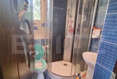 Casa P+M, 418 mp curte, 150mp util, parc Romanescu Extensiv - 12