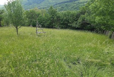 Teren de 1200 mp, în Valea Doftanei - 4