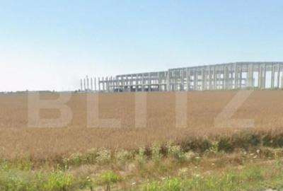 Oportunitate Investitie Teren Deschidere 20mp ,Carcea, Zona - 3