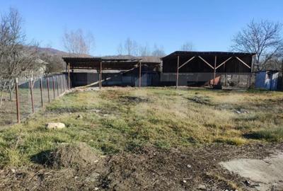 Casă cu 3 camere cu Teren 1681 Mp în Central