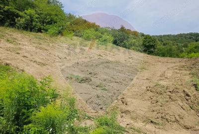 Teren de 1600 mp, în Vest - 1