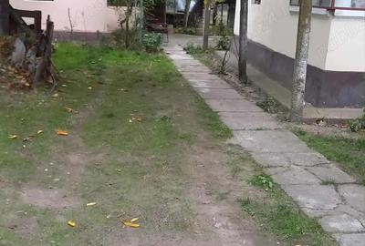 Casă cu 5 camere în Jiana - 4
