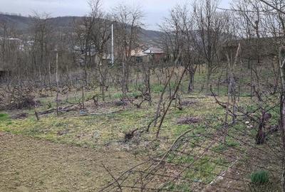 Casă cu Teren 3000 Mp în Moscu