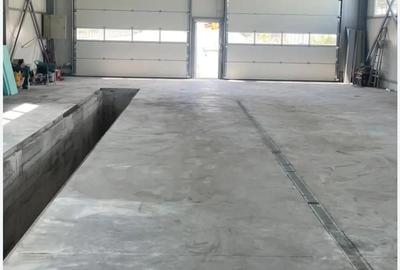 Spațiu comercial, de 325 mp, în Bradu - 2