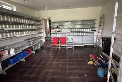 Casă cu 3 camere cu Teren 4000 Mp în Mihăești