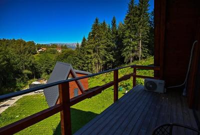 FILM! Ansamblu in circuit hotelier,5.700mp teren,Moieciu,constructie 2025 - 14