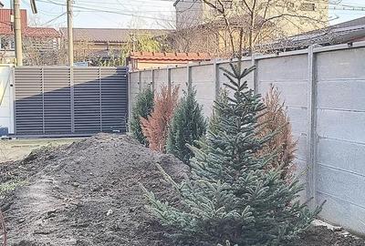 Casă cu Teren 300 Mp în Rahova - 5