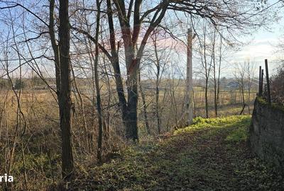 Teren de 10860 mp, în Gălănești - 19