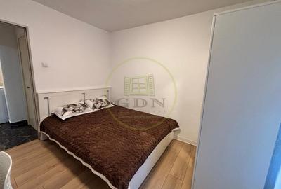 Apartament cu 2 camere decomandat, mobilat în Brazda lui Novac - 3