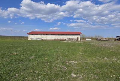 Teren de 60000 mp, în Stoenești - 10