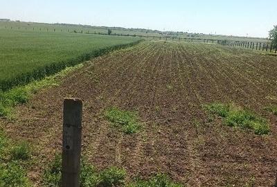 Teren de 16600 mp, în Surdila-Greci - 4