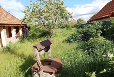 Casă cu Teren 2580 Mp în Teiu - 3